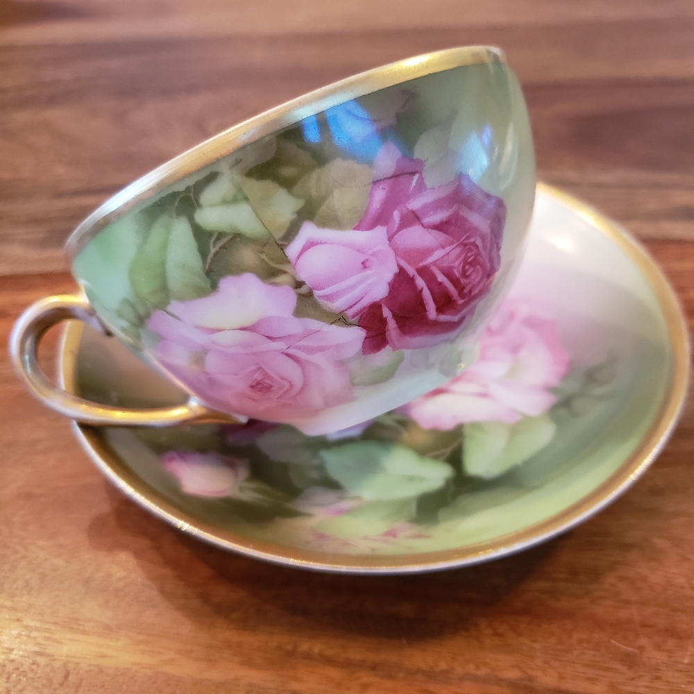 Bavaria Thomas Mentone Antique cup and saucer